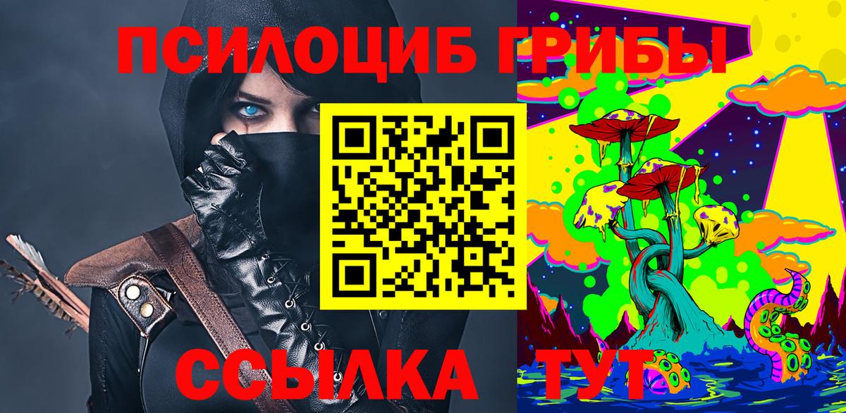 Отрадный  Галлюциногенные грибы Cubensis  Вход с VPN 