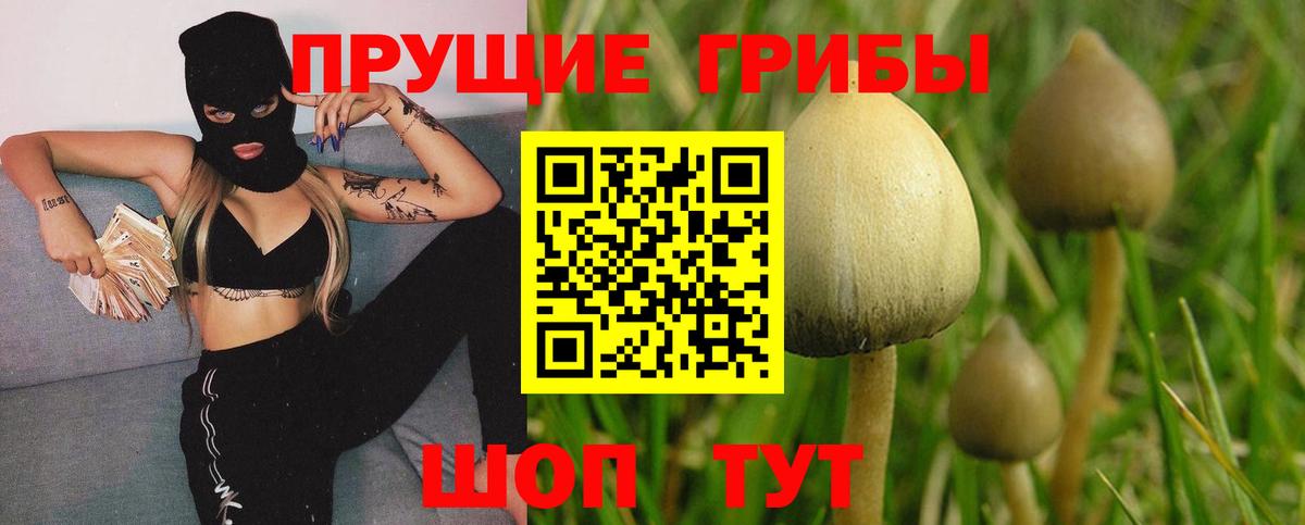 Псилоцибиновые грибы GOLDEN TEACHER Отрадный