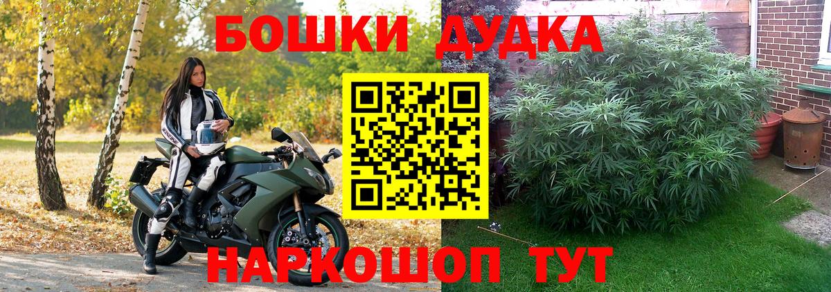 Шишки марихуана план  Каннабис White Widow  Отрадный  Шишки марихуана Ganja  Вход с VPN 